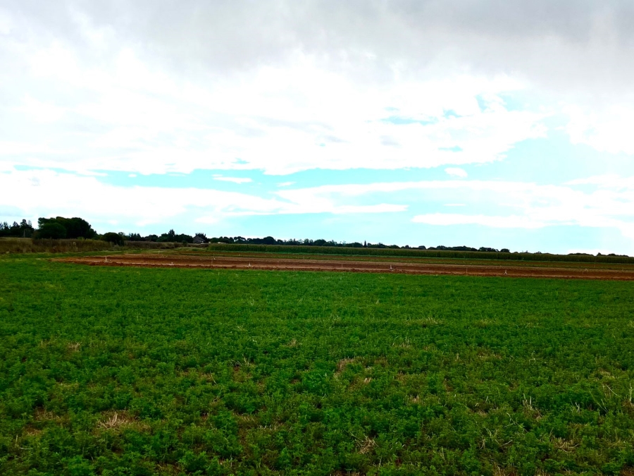 4 Bedroom Property for Sale in Bainsvlei Free State